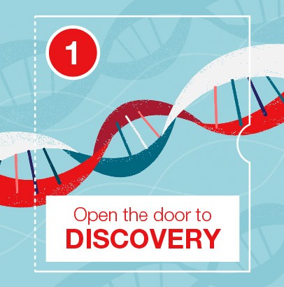 Structure of DNA