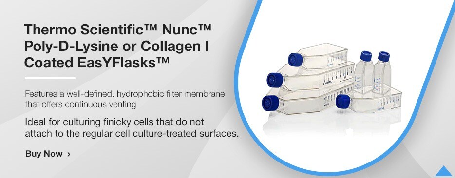 Thermo Scientific™ Nunc™ Poly-D-Lysine or Collagen I Coated EasYFlasks™ 